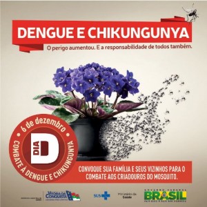 Dia D Dengue